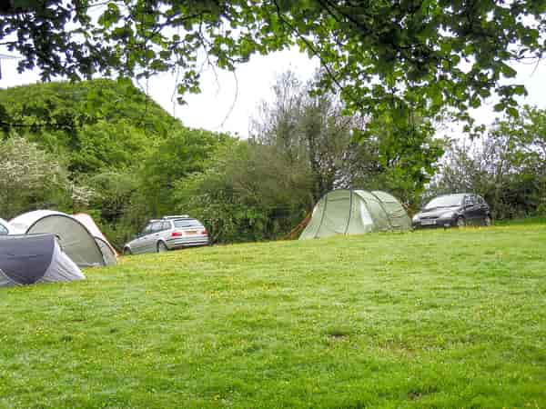 Unpowered grass tent or trailer tent site (large)