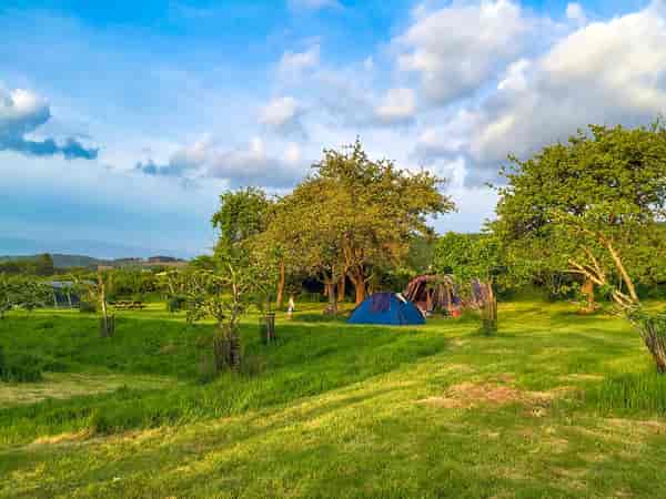 Orchard staplaats voor een tent op gras zonder elektriciteit