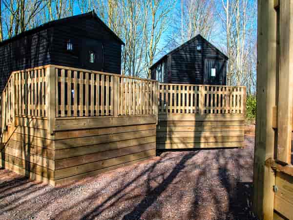 Brambling treehouse
