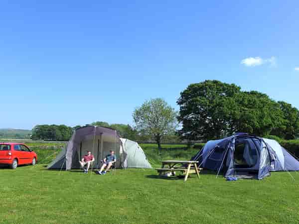 Electric grass tent or trailer tent pitch