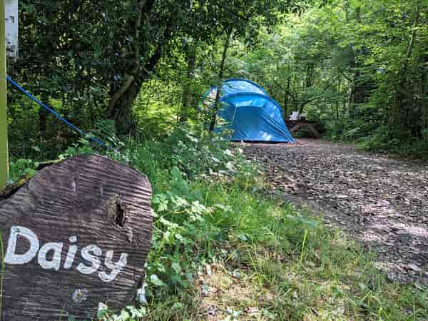 Daisy electric forest floor tent pitch (woodland)