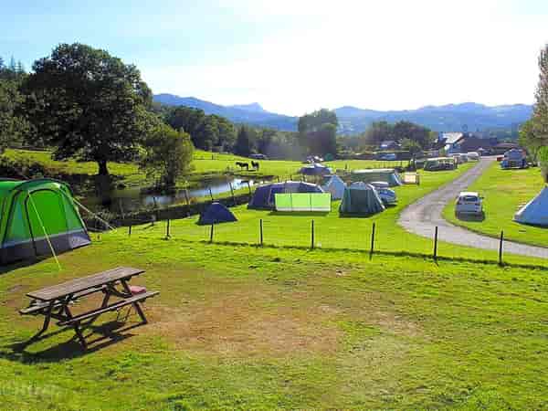 Electric grass pitch