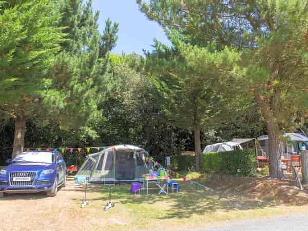Fully-serviced grass pitch (comfort)