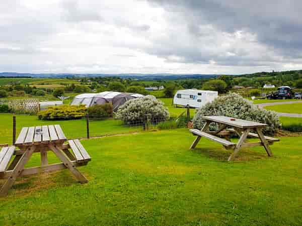 Electric grass pitch