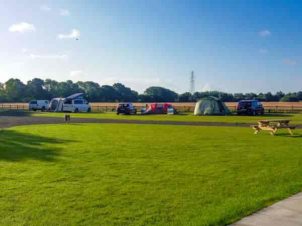 Electric grass pitch