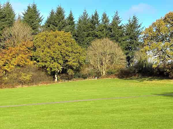 Non-electric grass pitch