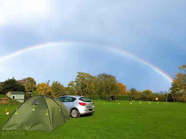 6-amp electric grass pitch
