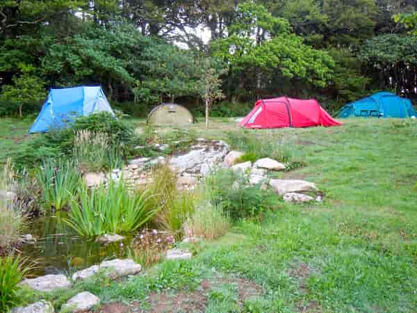 Unpowered grass tent or trailer tent site