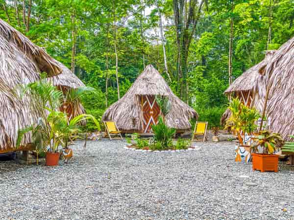 Tipi