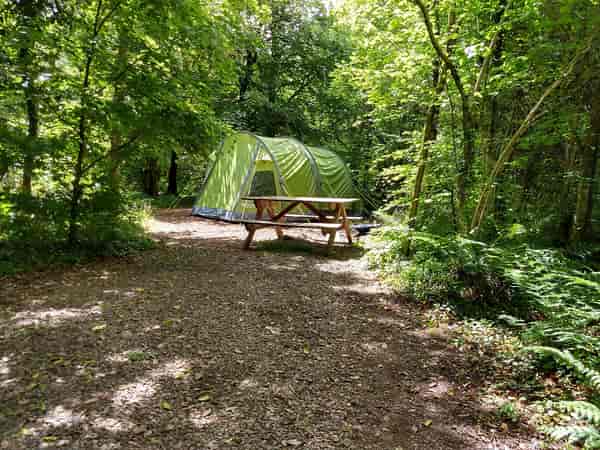 Bluebell electric forest floor tent pitch (large)