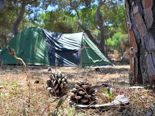 Electric optional hardstanding and grass tent pitch (six person)