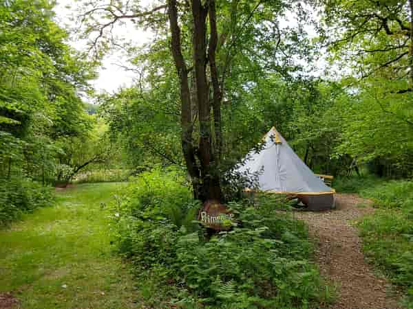 Primrose non-electric forest floor tent pitch (large)