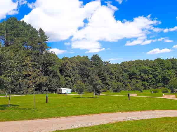 Electric gravel touring pitch