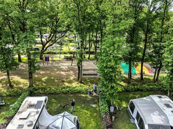Royal fully-serviced grass pitch (pet friendly)
