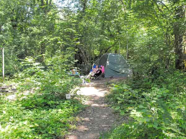 Non-electric forest floor tent pitch (woodland)