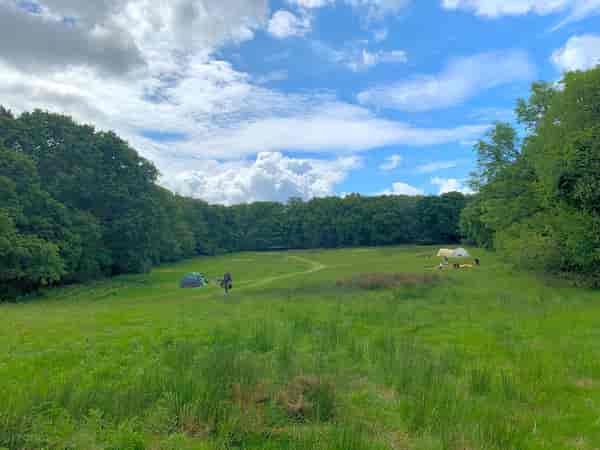 Unpowered grass tent site (wild)