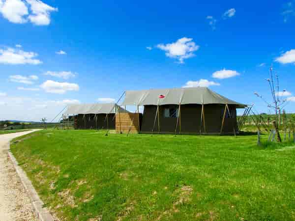 Safari tent