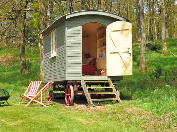 Hogget shepherd's hut (pet friendly)