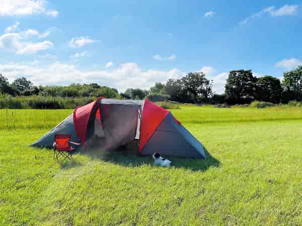 Unpowered grass tent site