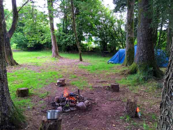 Emplacement pour tente sur herbe et sur sol en terre sans électricité (4 personnes)