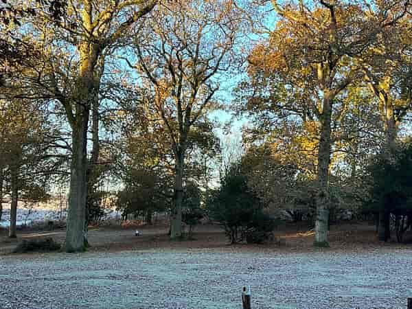 Non-electric grass pitch