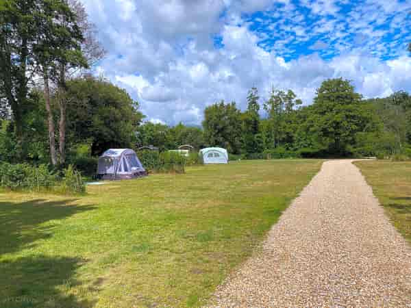 Non-electric grass pitch (pet friendly)
