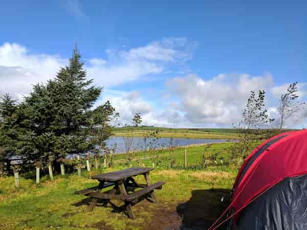 Electric grass tent or trailer tent pitch