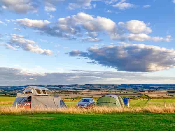 Electric grass tent pitch