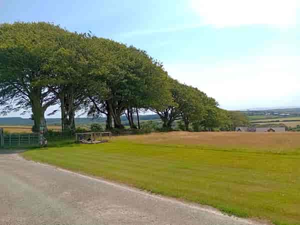 Non-electric grass tent pitch