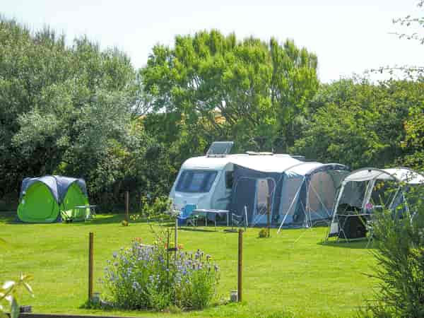Electric grass pitch
