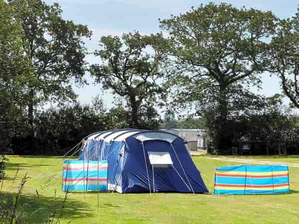 Meadow non-electric grass pitch