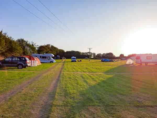 Electric grass pitch