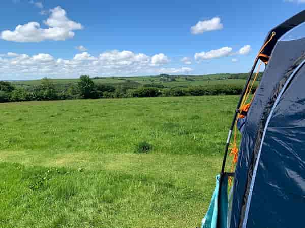 Non-electric grass tent pitch