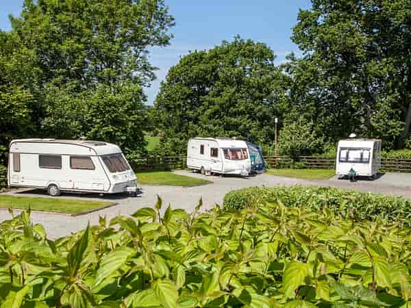 Powered cement/asphalt and grass travel trailer site