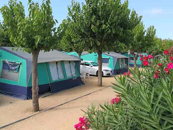 3 bedroom rental tent (no pets)