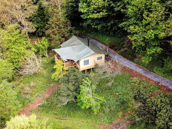 Magnolia Lodge 3 bedroom safari tent (hot tub)