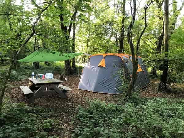 Bramble electric forest floor tent pitch