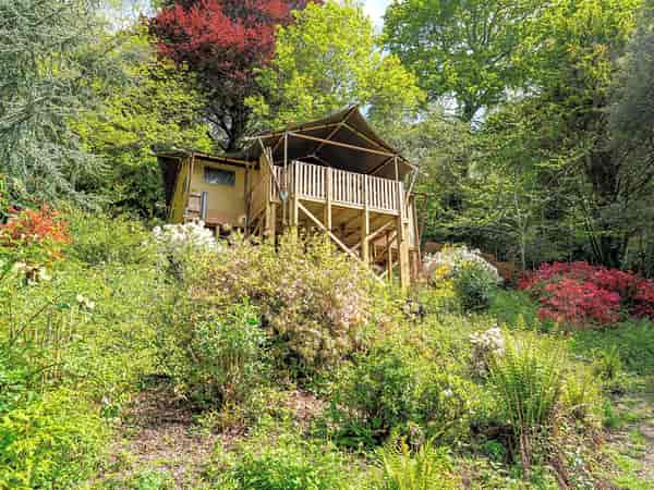 Cedar Lodge 3 bedroom safari tent (hot tub)