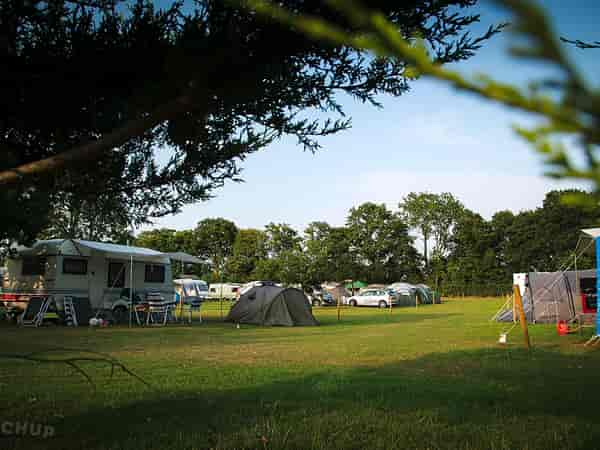 Electric grass pitch