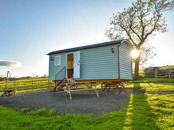 Lamb Lookout shepherd's hut (2 adults and 2 children)