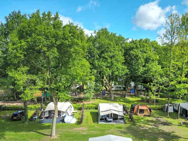16-amp fully-serviced grass pitch (comfort, no pets)