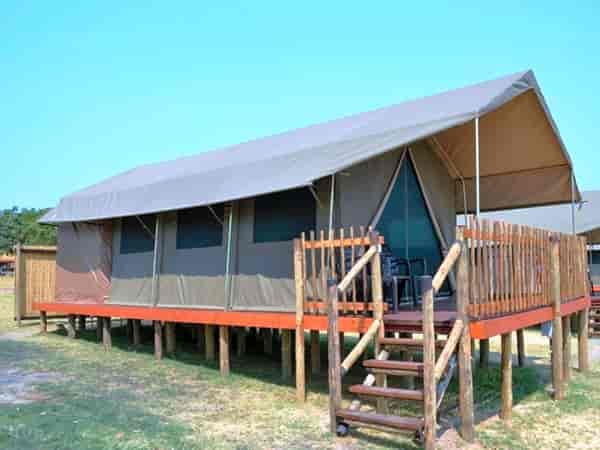 Safari tent (family)