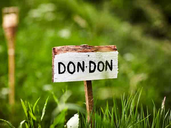 Don Don non-electric grass and earth tent pitch
