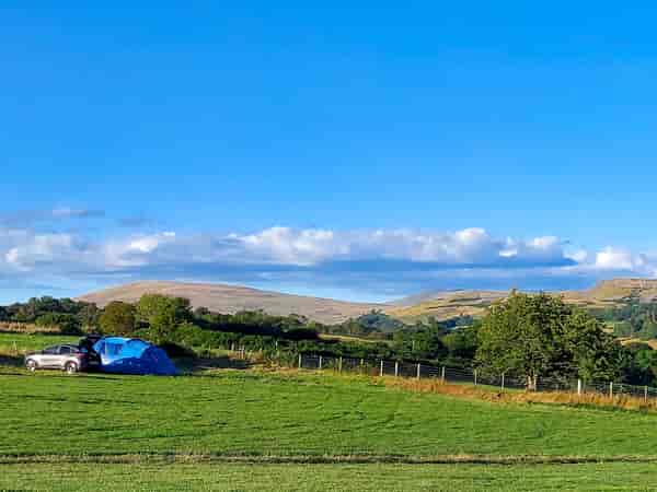 Primitive grass tent site