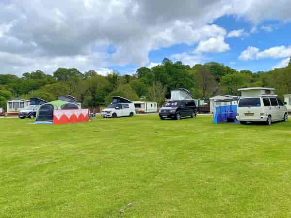 Electric grass pitch