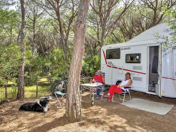 Powered travel trailer site (pinewood)
