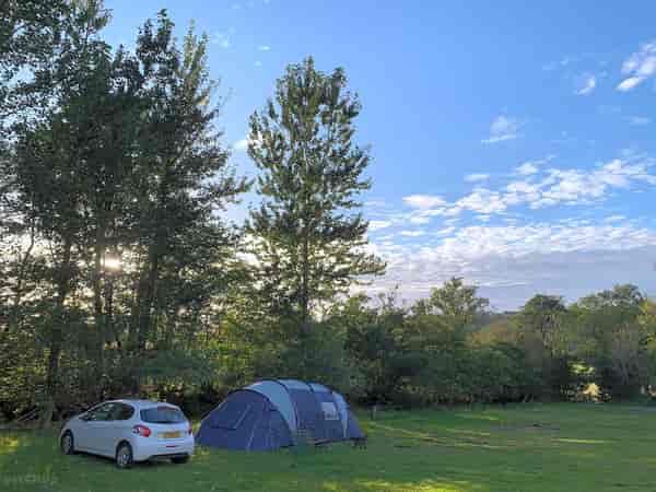 Electric optional grass pitch