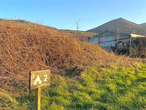 Non-electric grass and earth tent pitch (sea view)