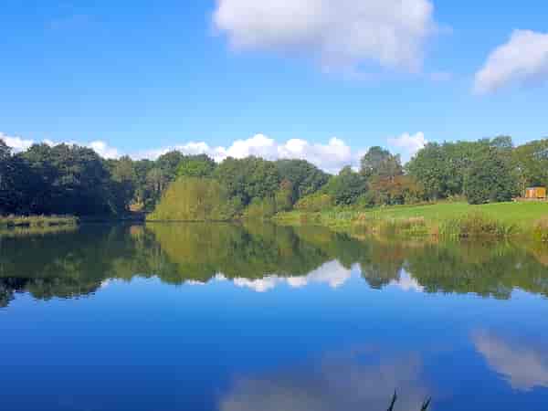 Lakeside 无电 草地 帐篷 单元 (中号)