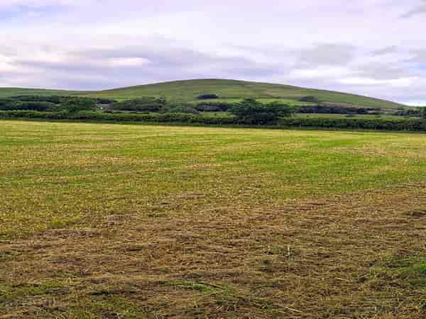 Unpowered grass tent or trailer tent site